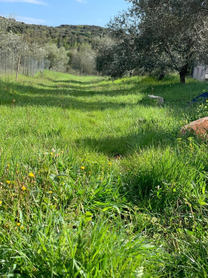 ホテル Il Giardino Degli Ulivi ロヴィニ エクステリア 写真